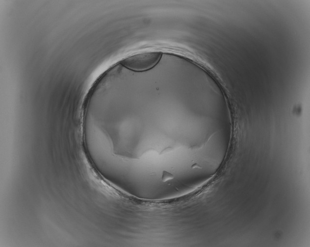 X0000115331522200911161757