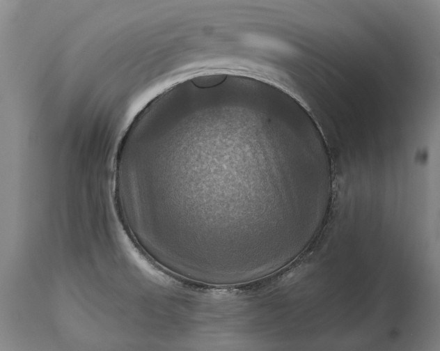 X0000115331523200911161757