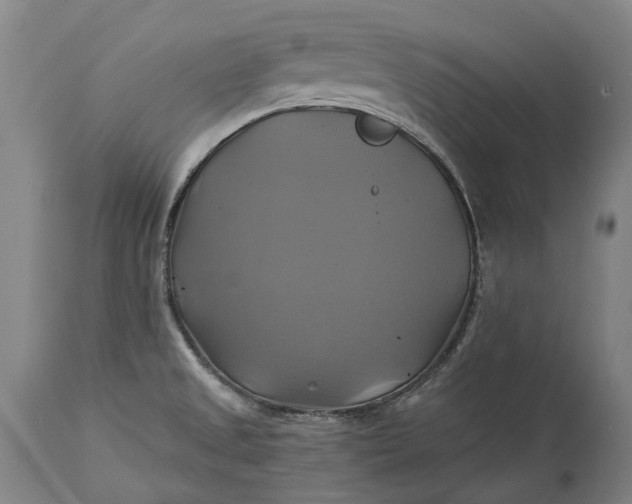 X0000115331525200911161757