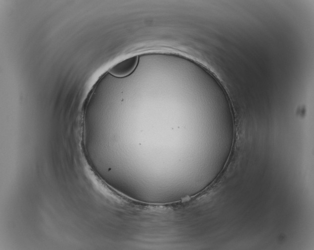 X0000115331526200911161757