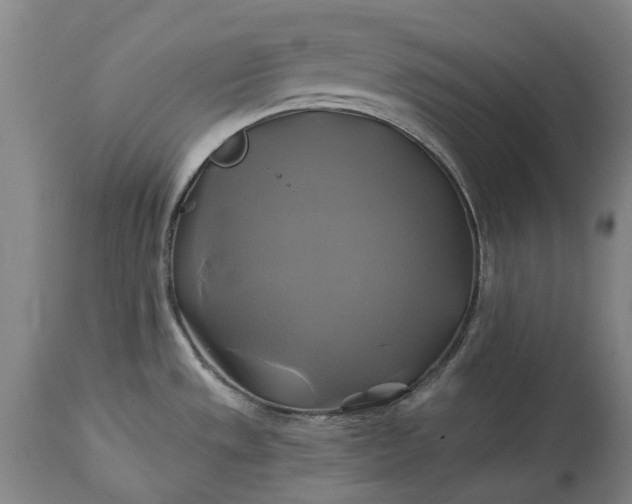 X0000115331533200911161757