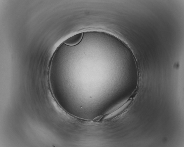 X0000115331534200911161757