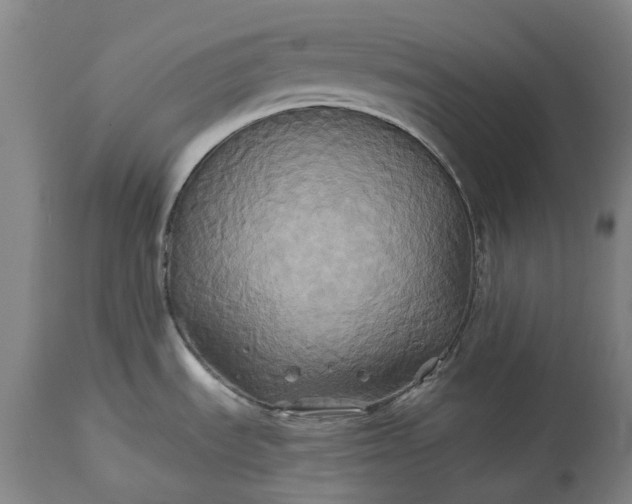 X0000115331535200911161757