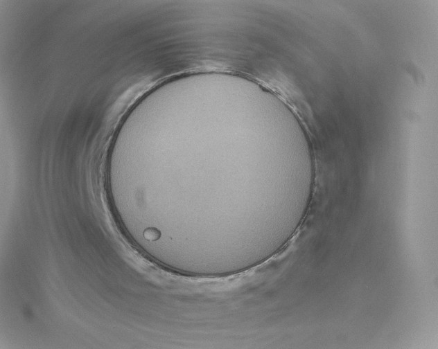 X0000115330001200911231421