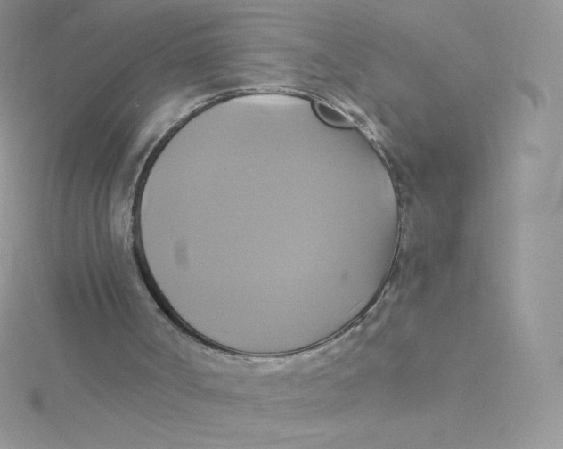 X0000115330002200911231421