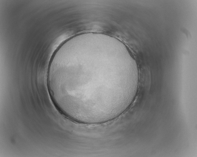 X0000115330003200911231421