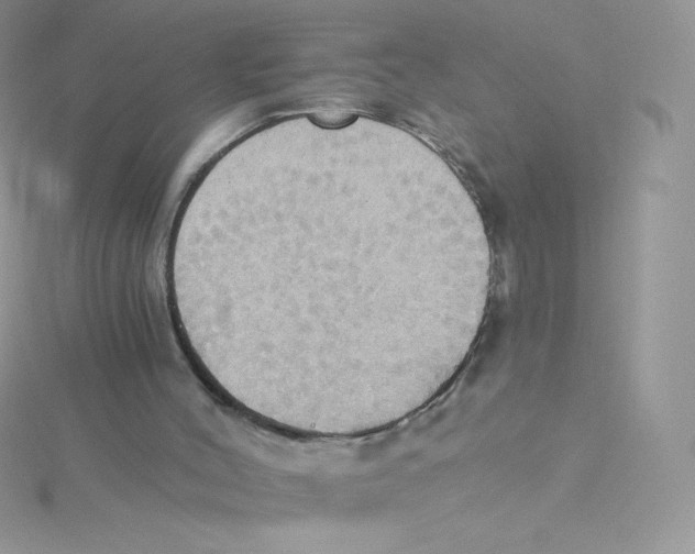 X0000115330004200911231421