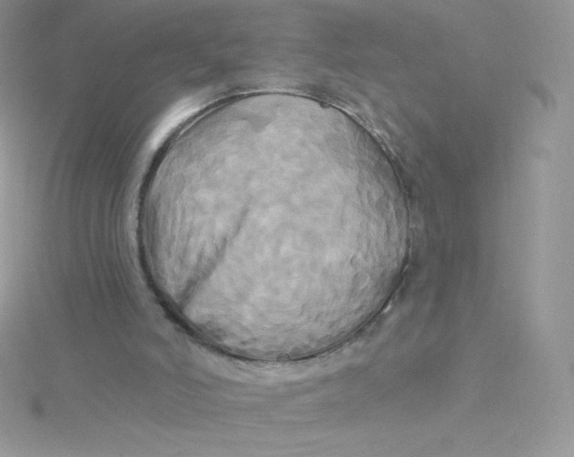 X0000115330006200911231421