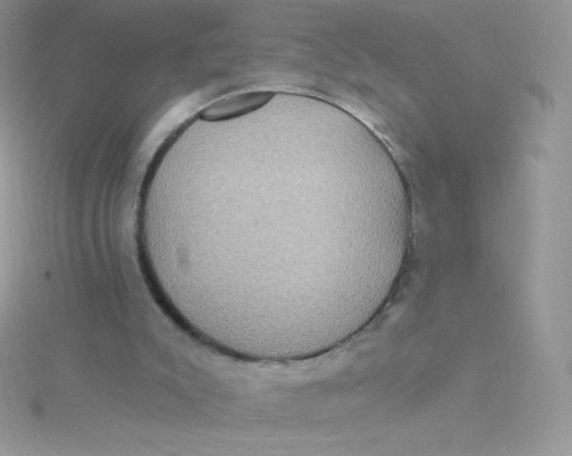 X0000115330007200911231421