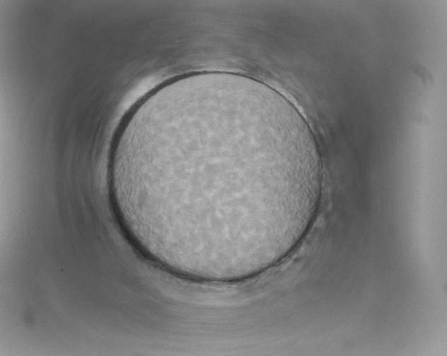 X0000115330008200911231421