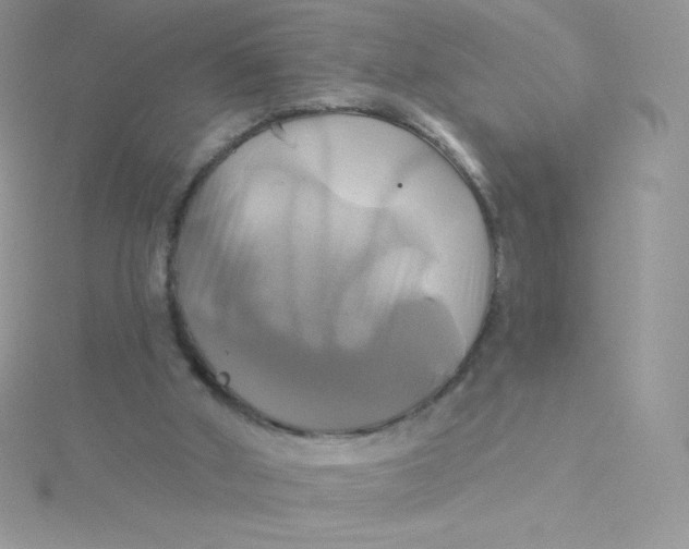 X0000115330010200911231421