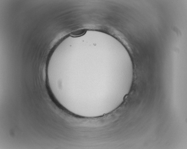 X0000115330011200911231421