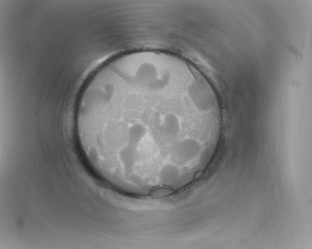 X0000115330012200911231421