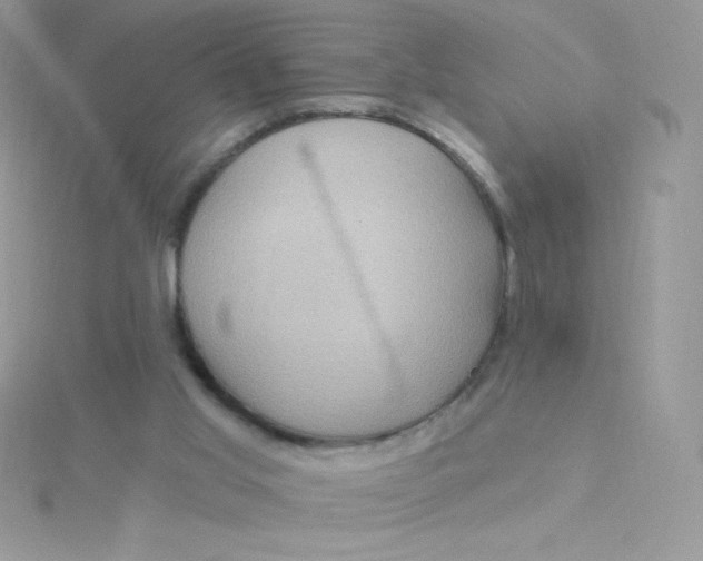 X0000115330013200911231421