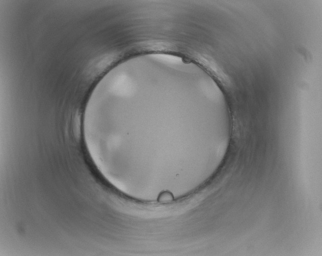 X0000115330014200911231421