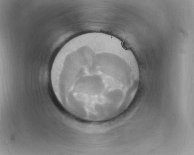 X0000115330016200911231421