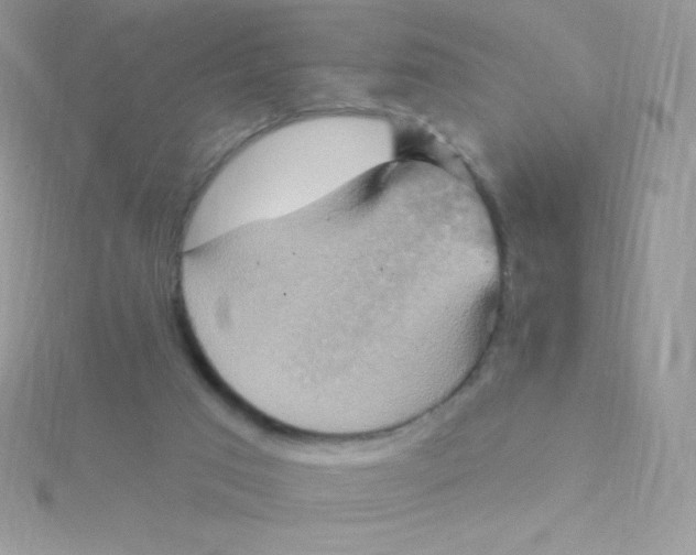 X0000115330017200911231421