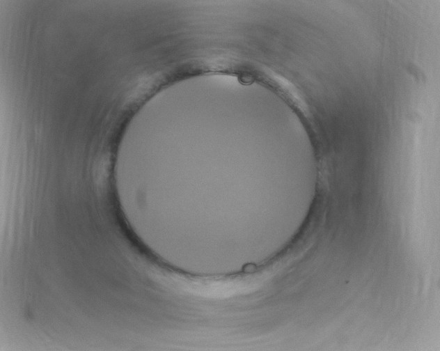 X0000115330018200911231421