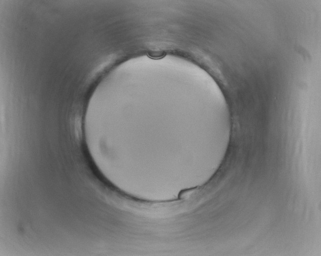 X0000115330019200911231421