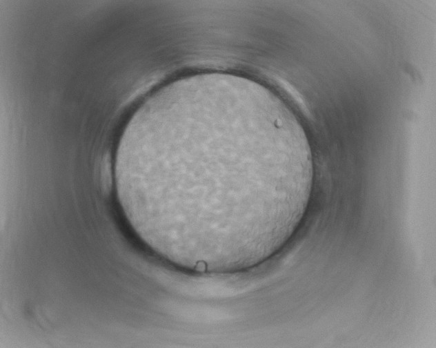 X0000115330020200911231421