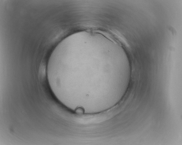 X0000115330021200911231421