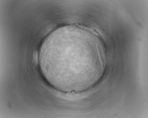 X0000115330022200911231421