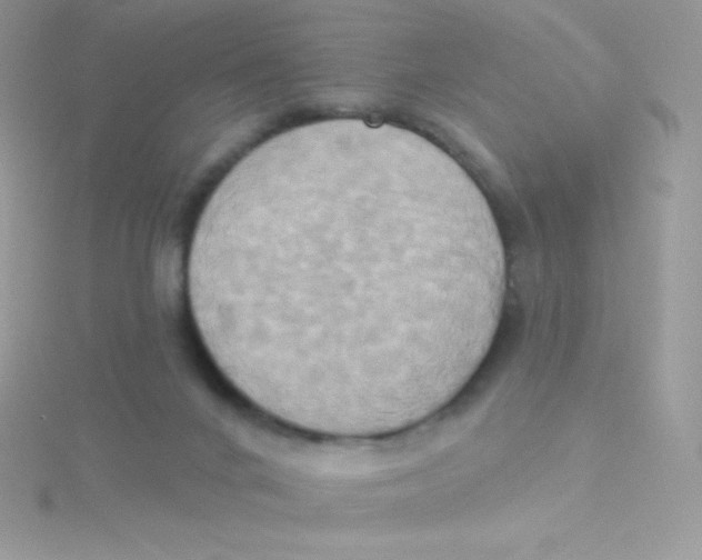 X0000115330024200911231421