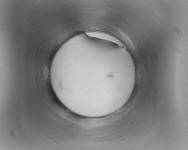 X0000115330025200911231421