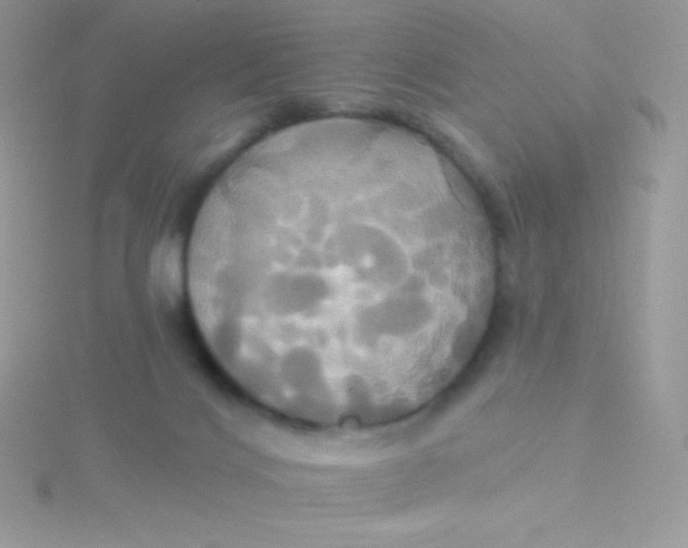 X0000115330028200911231421