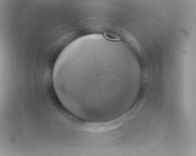 X0000115330029200911231421