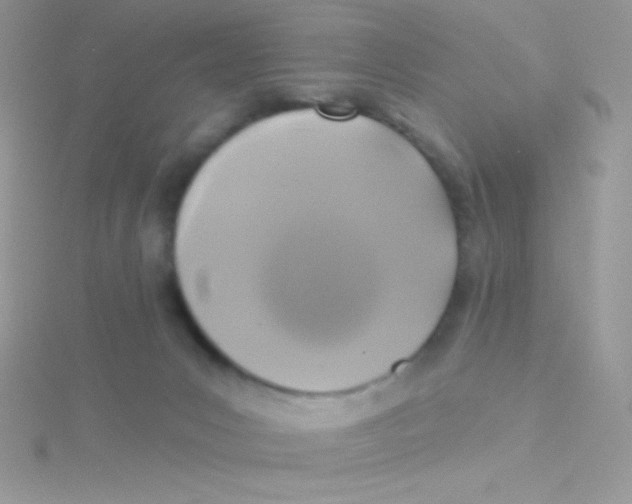 X0000115330031200911231421