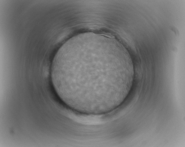 X0000115330032200911231421