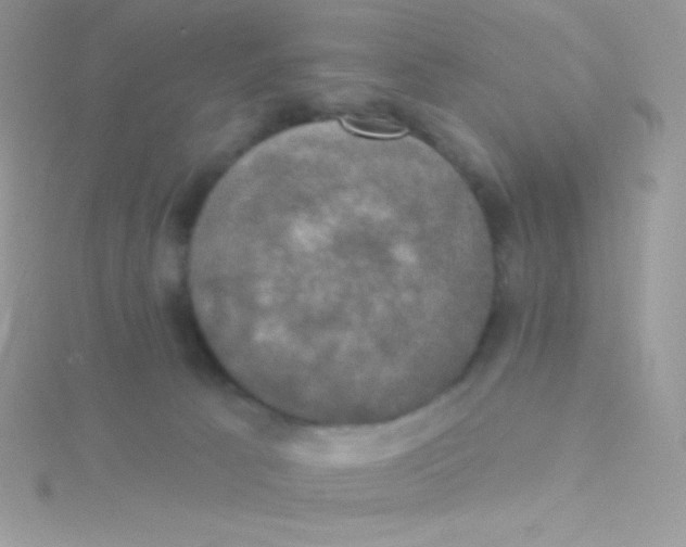 X0000115330033200911231421