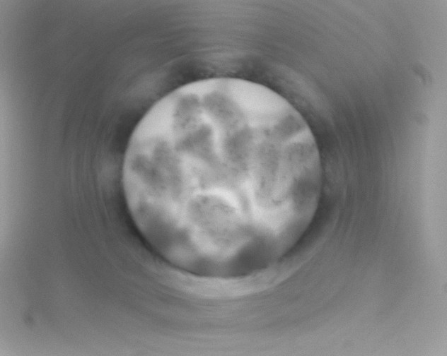 X0000115330034200911231421