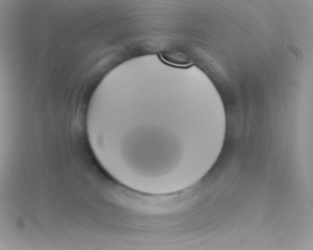 X0000115330035200911231421