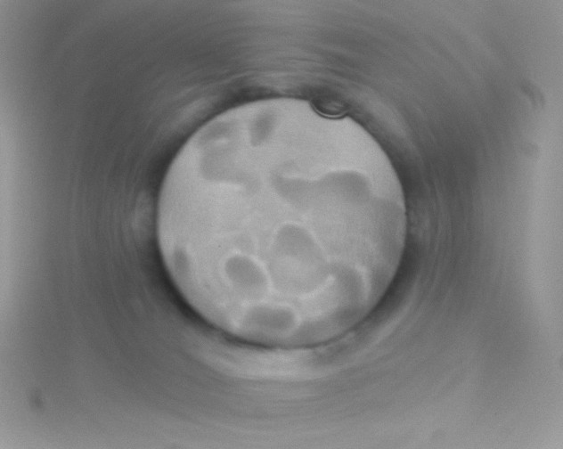 X0000115330036200911231421