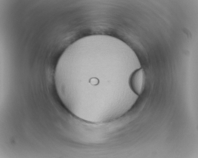 X0000115330038200911231421