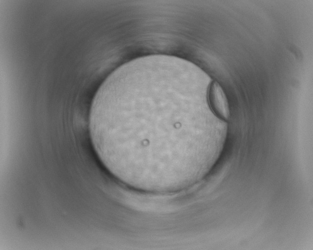 X0000115330040200911231421