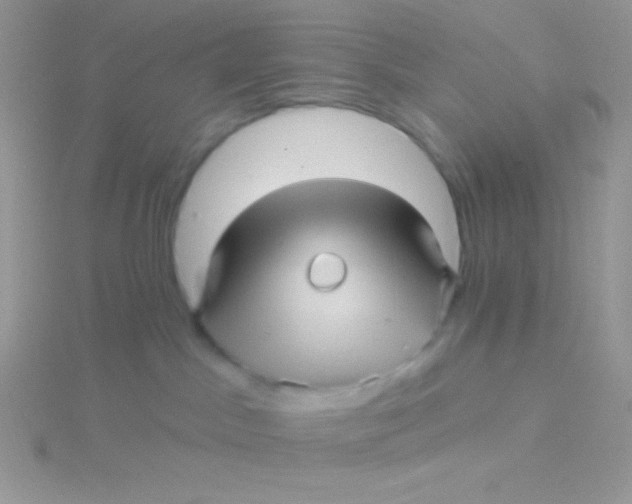 X0000115330045200911231421