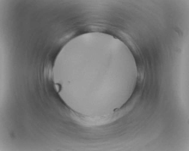 X0000115330046200911231421