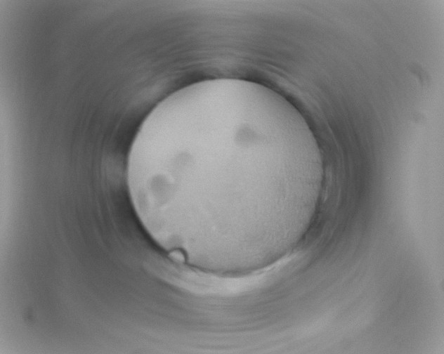 X0000115330048200911231421