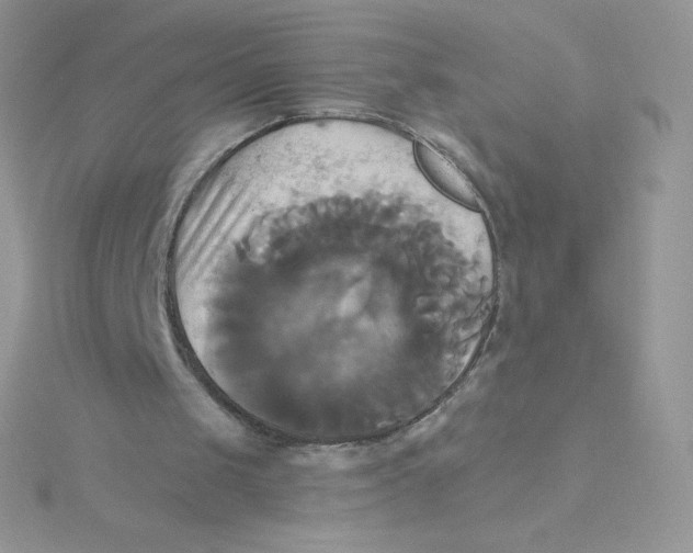 X0000115330049200911231420