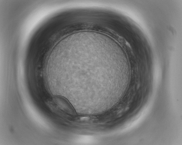 X0000115330050200911231420