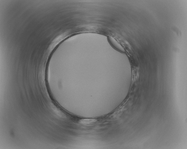 X0000115330051200911231420