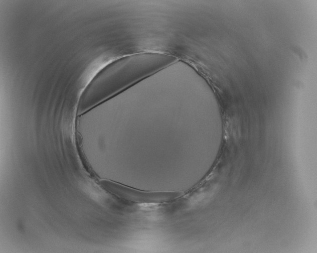 X0000115330052200911231420