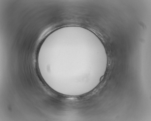 X0000115330053200911231420