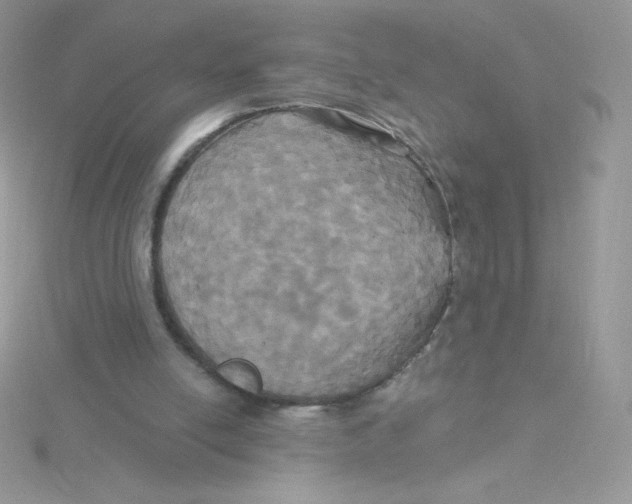 X0000115330054200911231420