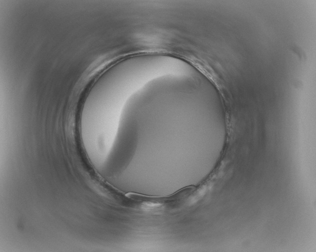 X0000115330055200911231420