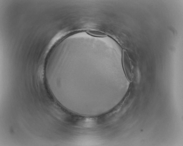 X0000115330056200911231420