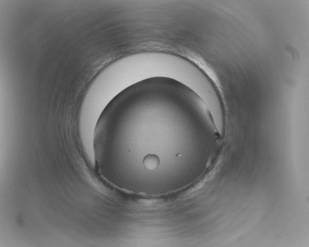 X0000115330057200911231420